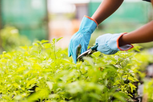 Professional gardener tending to a vibrant Shoreditch garden