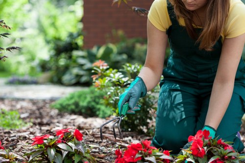 Gardeners wearing PPE and working safely on a residential property
