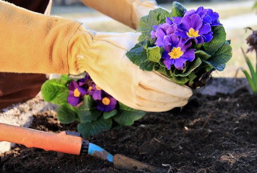 Team member assisting a client in a Shoreditch garden