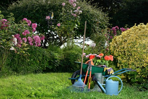 Edible garden setup by Shoreditch gardeners